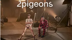 2 Pigeons