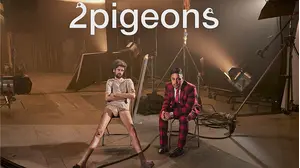2 Pigeons
