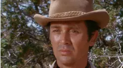 A Mule... Like the Army's Mule