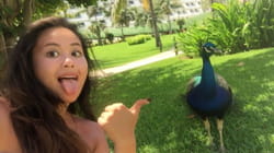 TPC Viral Wild | Ep. 4.4