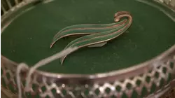 Philip Serrell and Louise Gostelow, Day 4