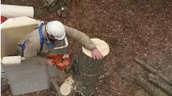 Ask TOH | Tree Removal, Garage Door Opener