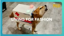 Dr. Phur | Living for Fashion