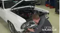 Detroit Muscle