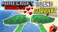 Minecraft Hardcore Survival