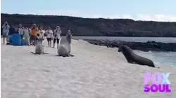 TWB's Adventure to the Galapagos Islands