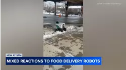Thousands sign petition to pause Chicago robot deliveries
