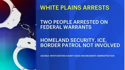 2 arrested on federal warrants in White Plains