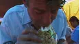 Anthony Bourdain A Cook's Tour
