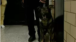 He Said He Said Fight, Season 1, Episode 7