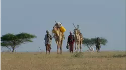 Salt Journey