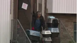 Rescued West Islip cats find help, but local shelters ask community for support