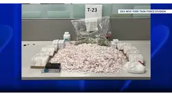 Police find 2-year-old in fentanyl packing mill hidden inside Williamsbridge apartment
