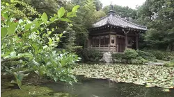 Japan: The Contemporary and the Ancient