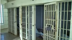 Iryna's Law goes into effect