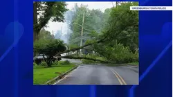 Old Kensico Road in Greenburgh reopens after tree falls on utility lines