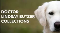Doctor Lindsay Butzer Collections