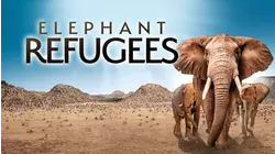 Elephant Refugees