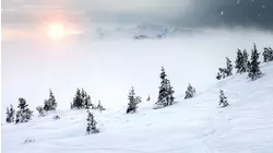 A Relaxing Christmas