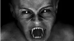 Rainbow Portal and More