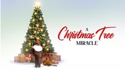 A Christmas Tree Miracle