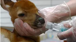 Barry's Big Day