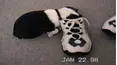 Life's Funniest Moments