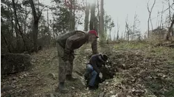 These Weren't A Few Birds