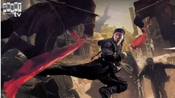 Bodyguards And Assassins