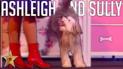 ADORABLE Audition By Ashleigh And Sully ASTOUNDS Judges On BGT: The Champions! | Got Talent Global