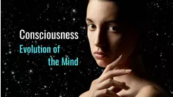 Consciousness: Evolution of the Mind