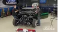 Detroit Muscle