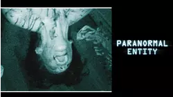 Paranormal Entity