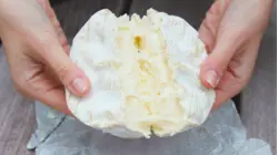 The Mold Behind Brie Cheese Could Face Extinction. Can We Save It?