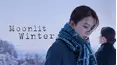 Moonlit Winter