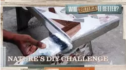 Who Built It Better? | Nature's DIY Challenge