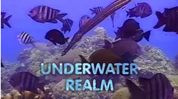 Underwater Realm