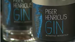 Automatic Sliding Doors