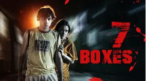 7 Boxes