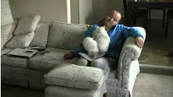 Separation Anxiety Pets