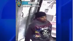 Trio on the run after robbing moped from man in Fordham