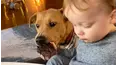 Best Pets of the Month