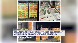 Over 100kg of meth seized under boxes of papayas in Brooklyn
