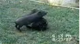 Life's Funniest Moments