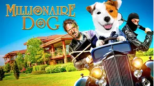 Millionaire Dog