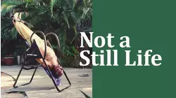 Not a Still Life