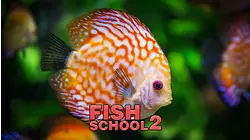 Fish School 2