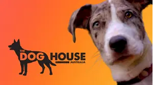 The Dog House Australia