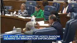 US House subcommittee hosts immigration enforcement 'shadow hearing'