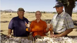 From Coast to Coast: Three Favorite pastas in America